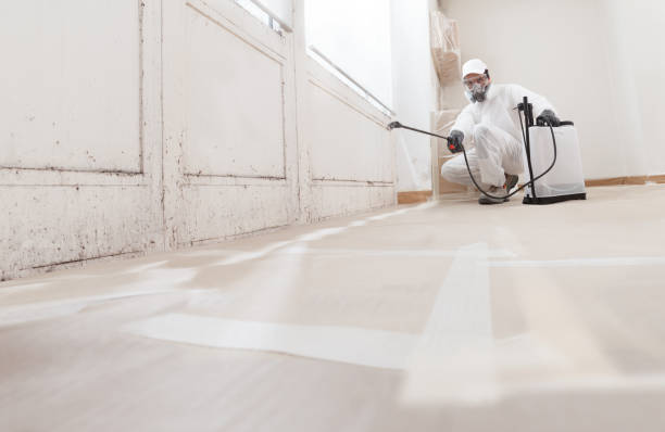24/7 Emergency Attic Mold Removal experts in Williamsburg, KY